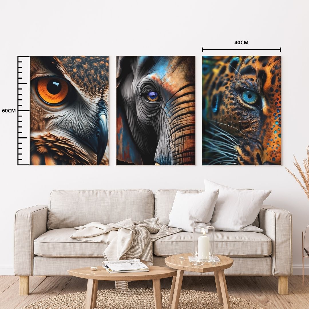 Diseños animales