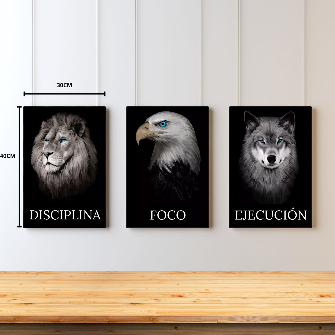 Disciplina Foco Ejecución