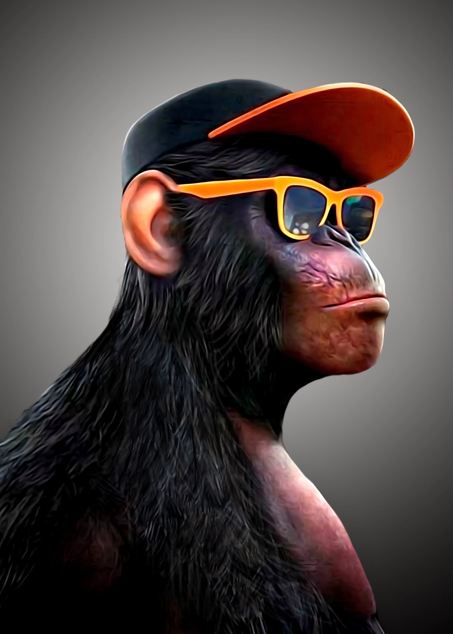 Monos Sabios