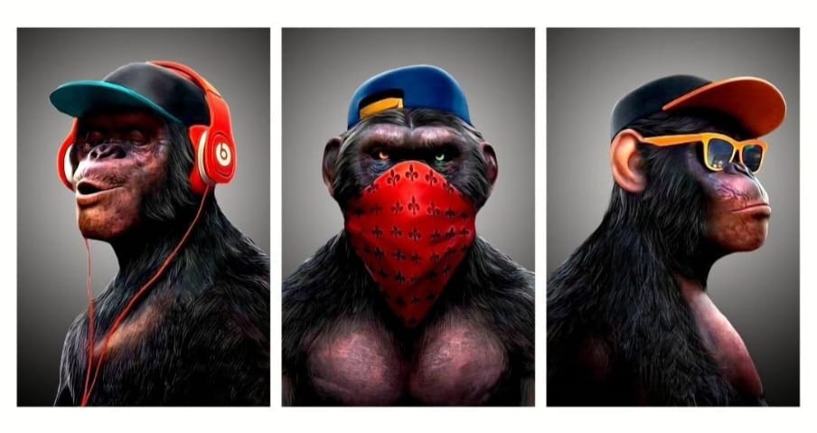 Monos Sabios
