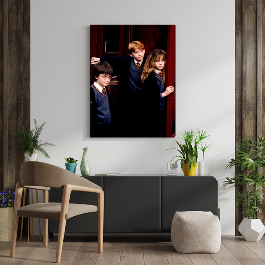 Harry Potter