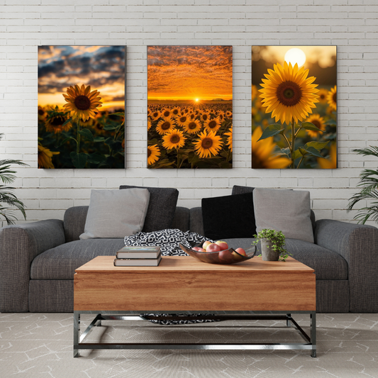 Girasol