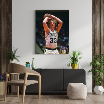 Larry Bird