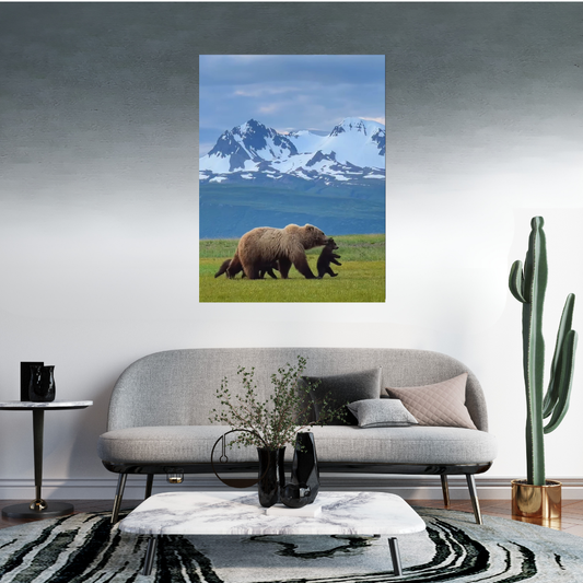 Oso Grizzly