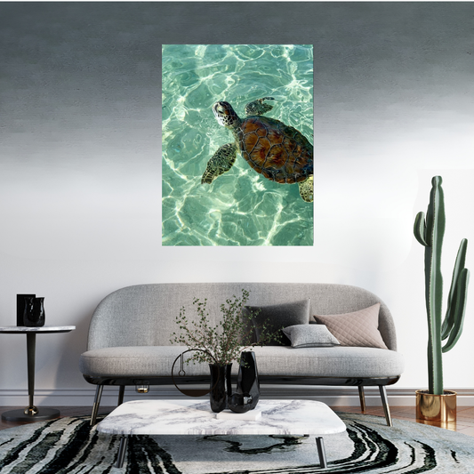 Tortuga