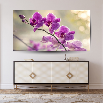 Orquídea