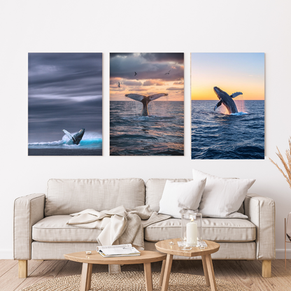 Ballena