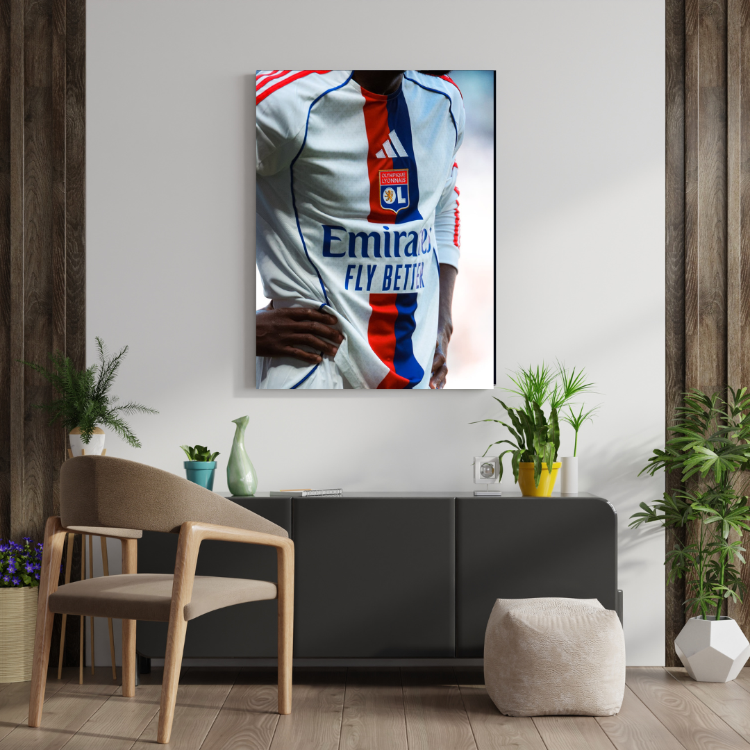 Francia Fútbol