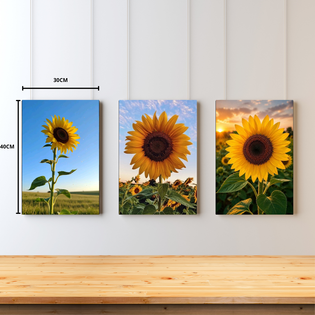 Girasol