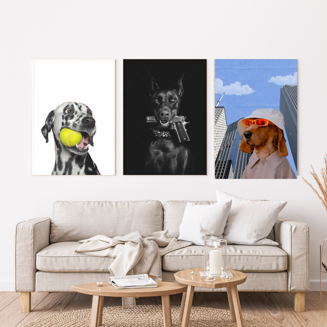 Perro - Perros