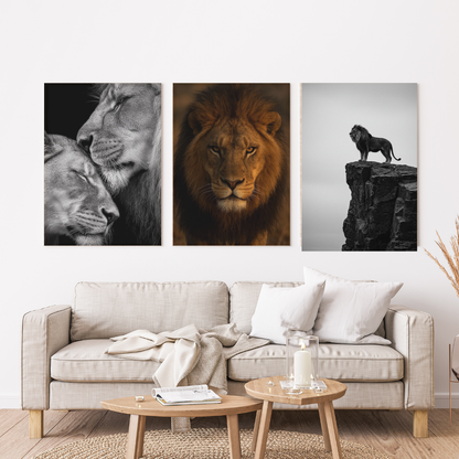 León - Leones