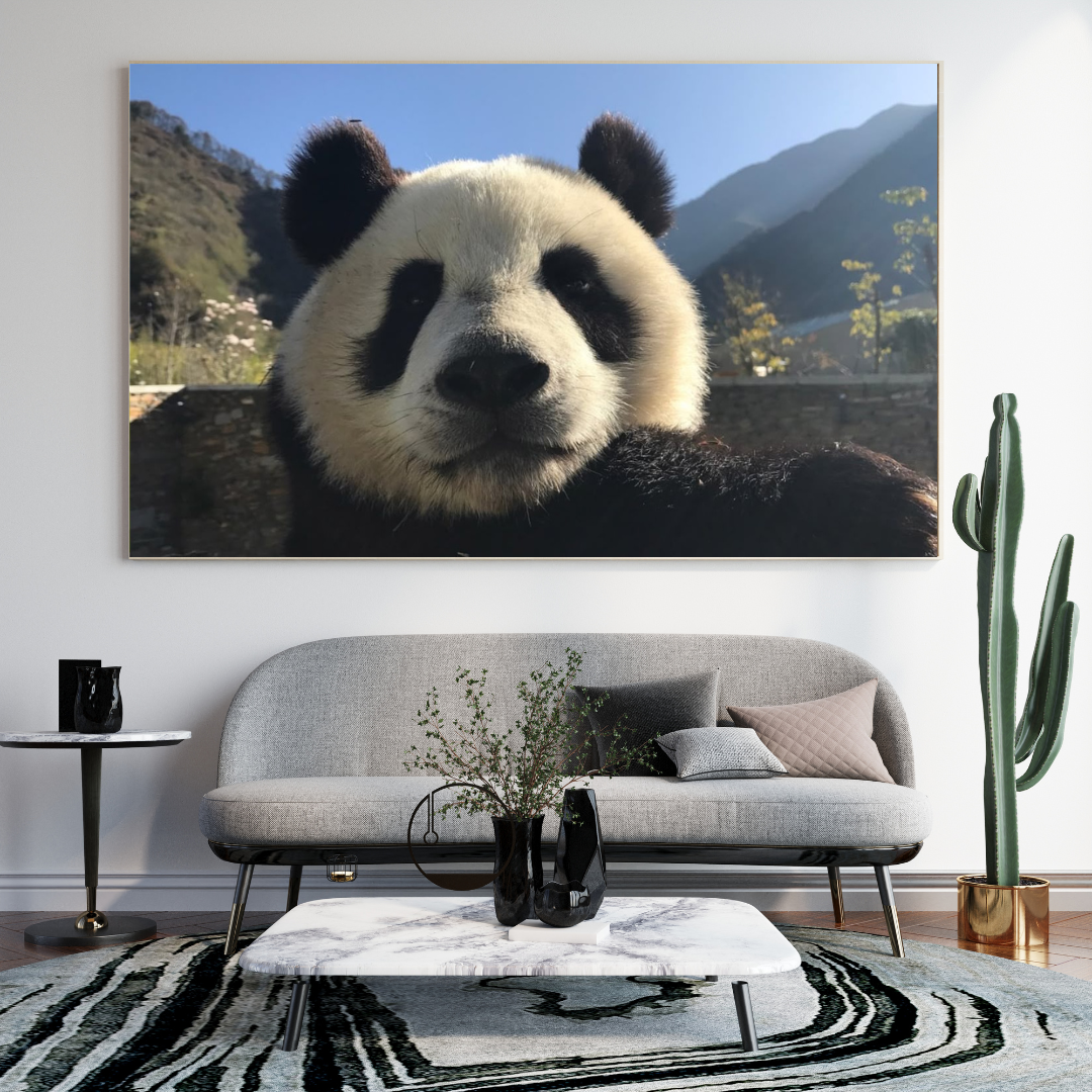 Oso Panda