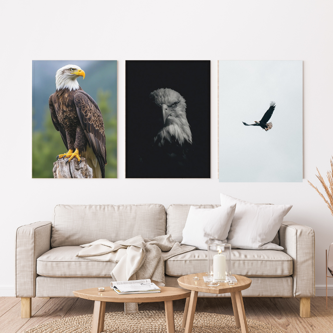 Águila