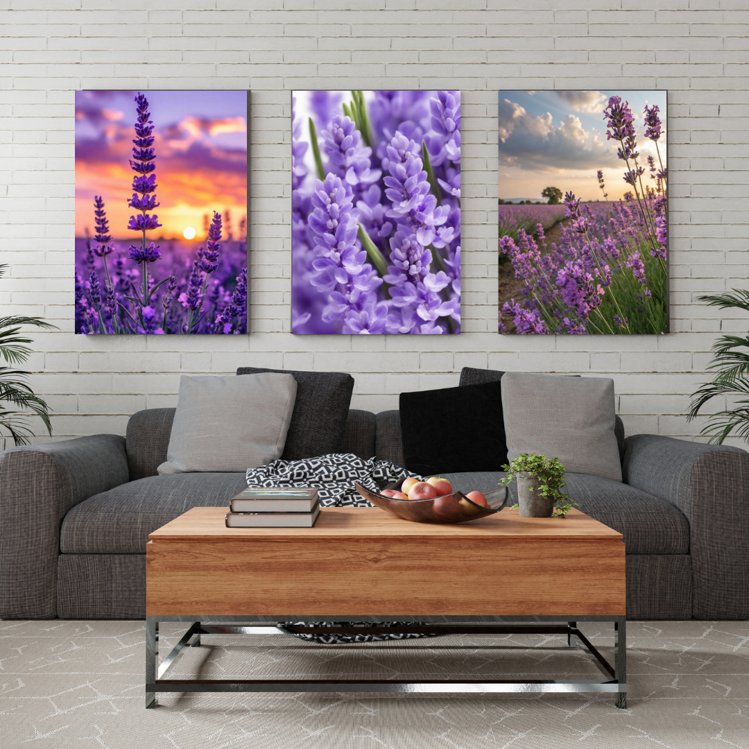Lavanda