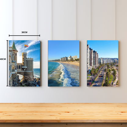 Viña del Mar