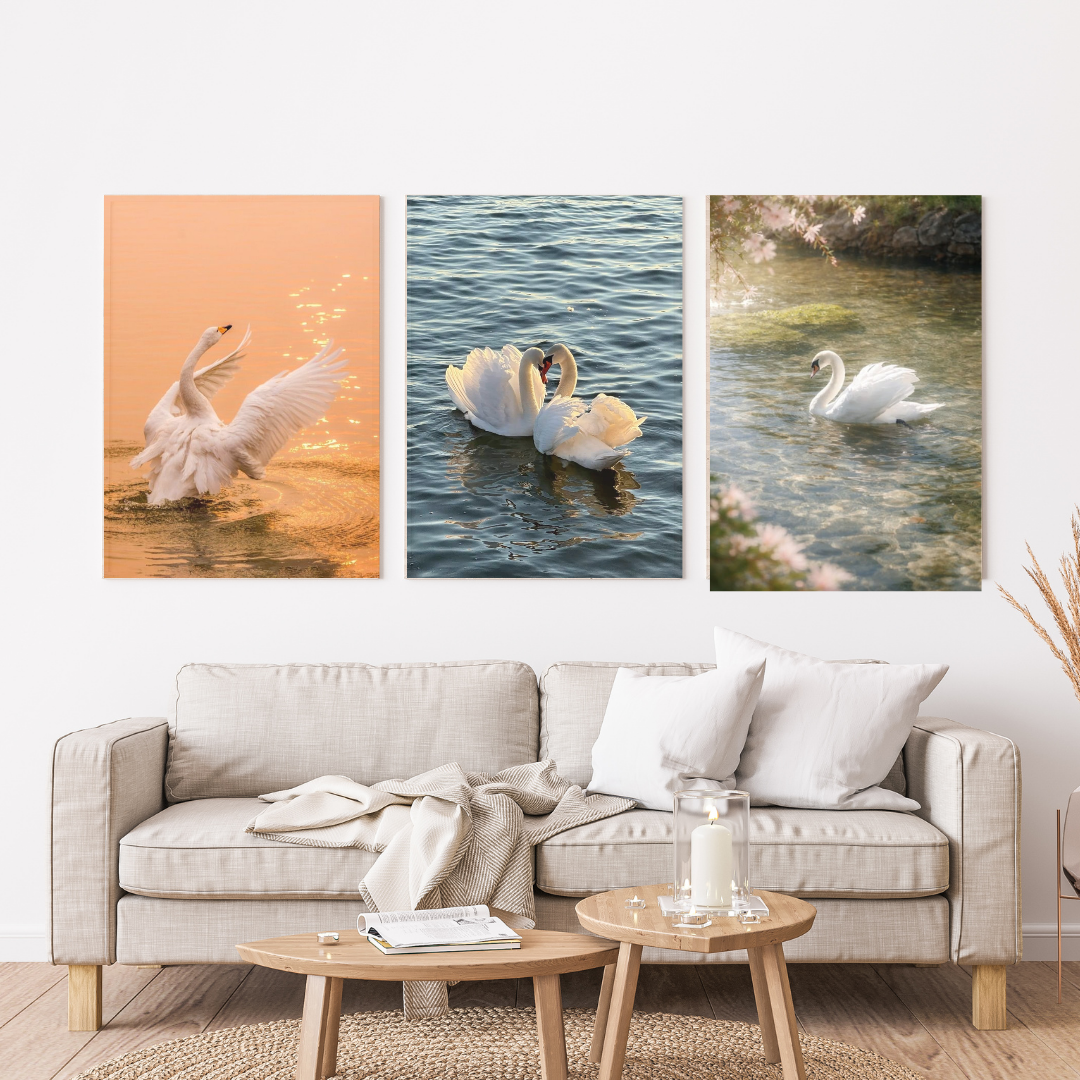 Cisne