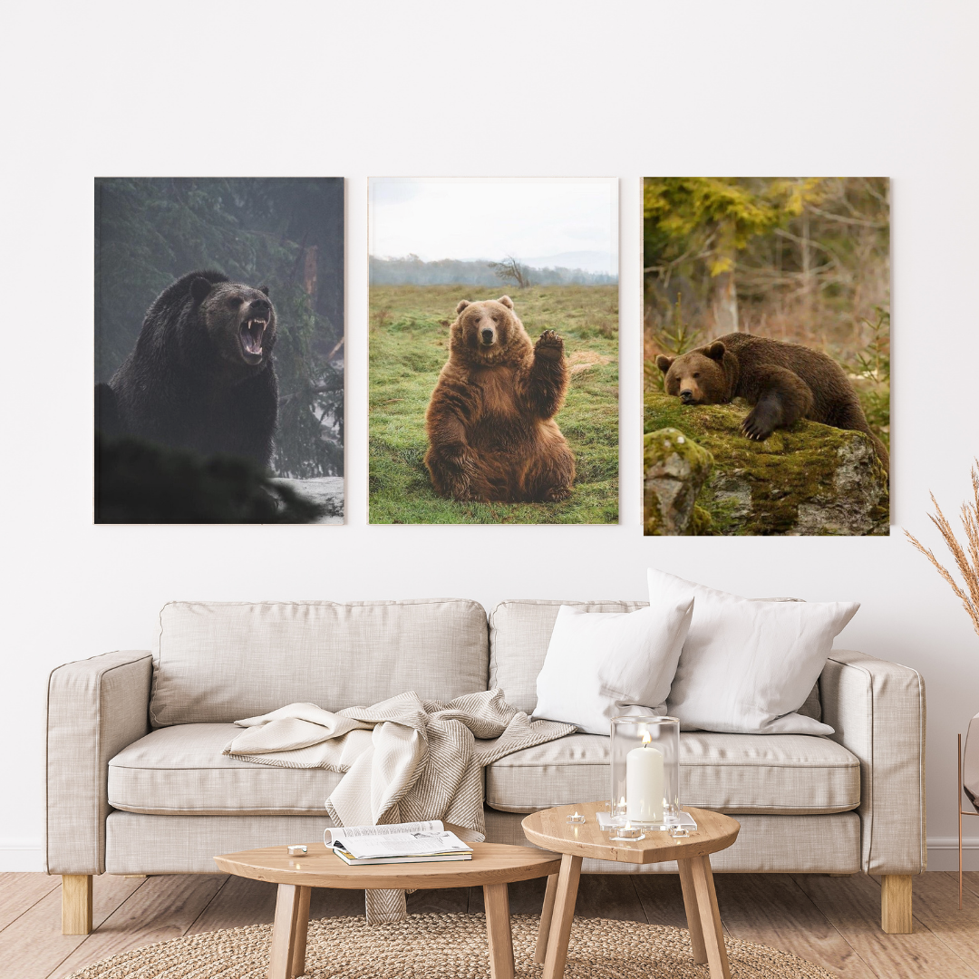 Oso Grizzly