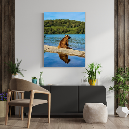 Oso Grizzly