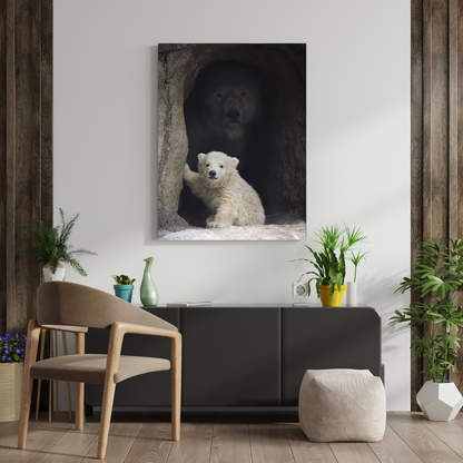 Oso Polar