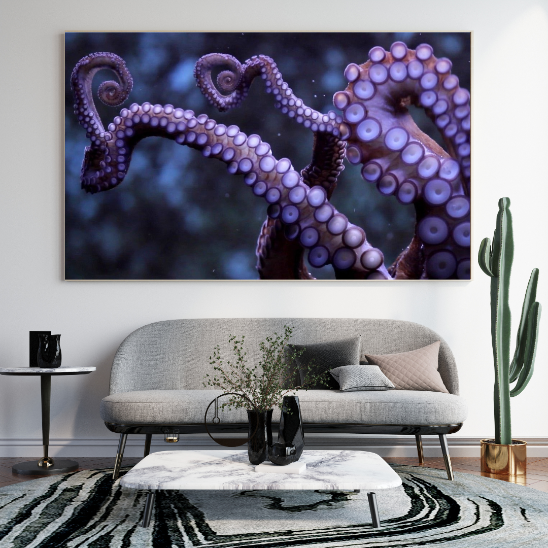 Pulpo