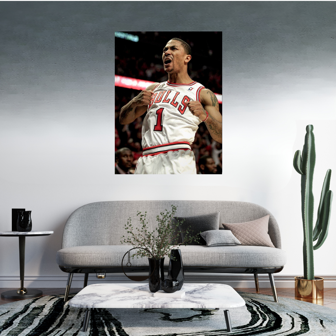 Chicago Bulls