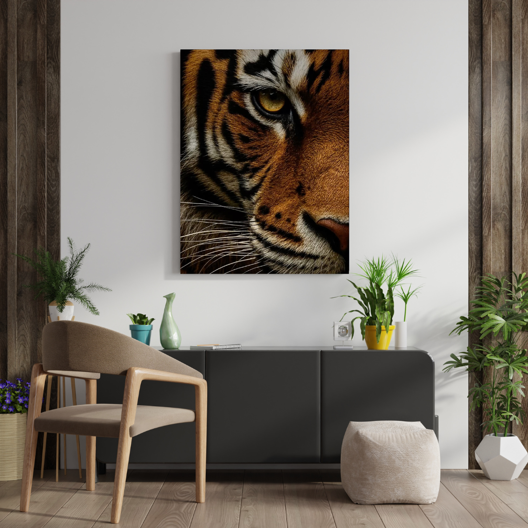 Tigre - Tigres