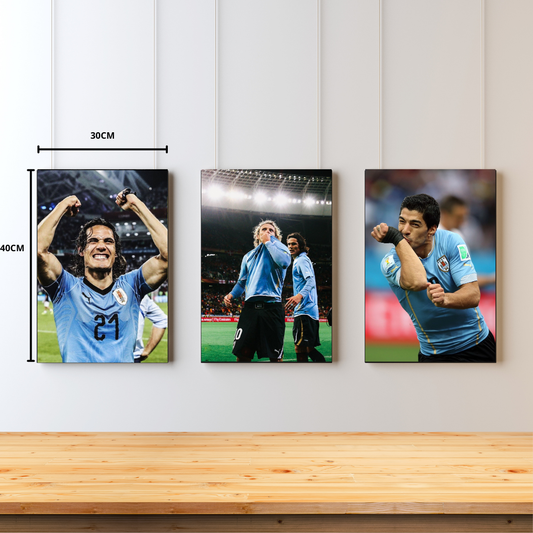 Selección Uruguaya
