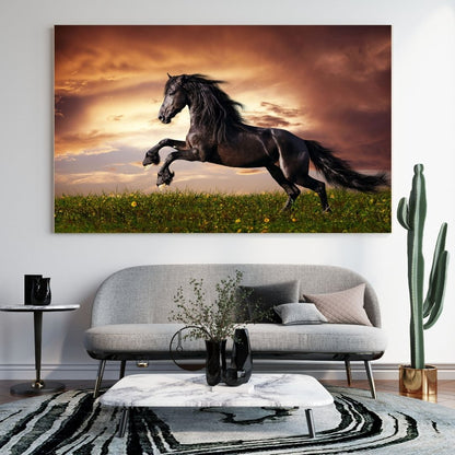 Caballos