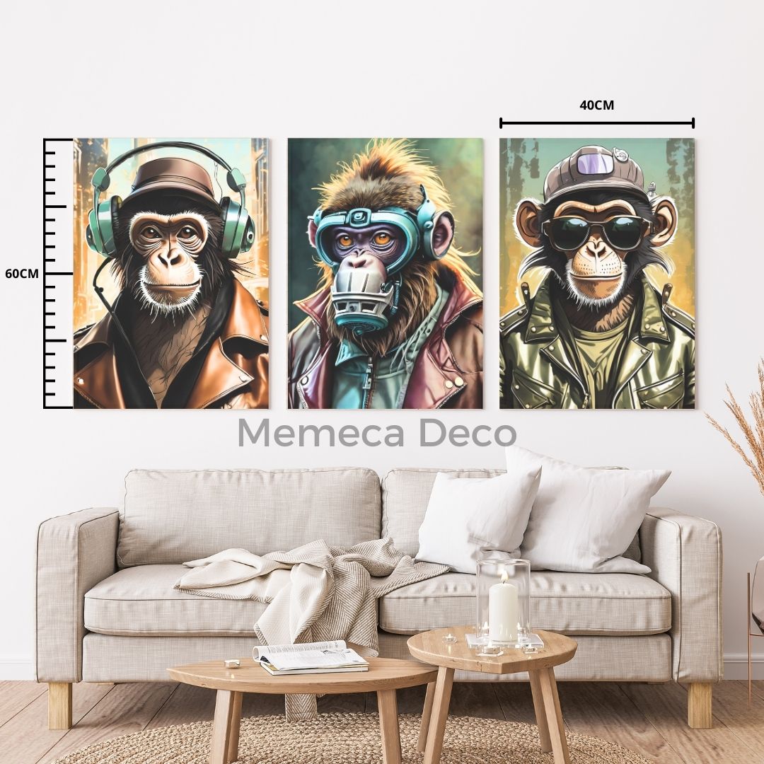 Monos varios diseños