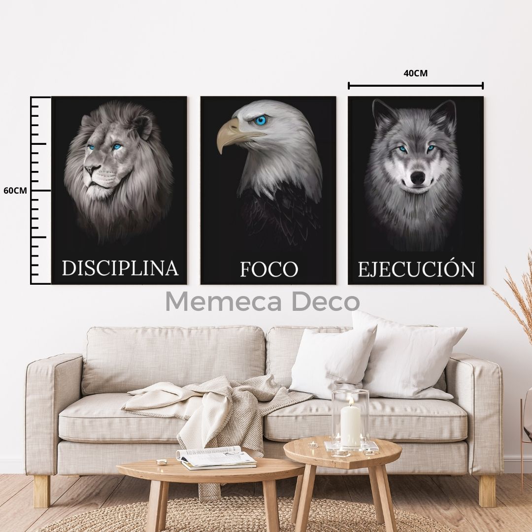 Disciplina Foco Ejecución