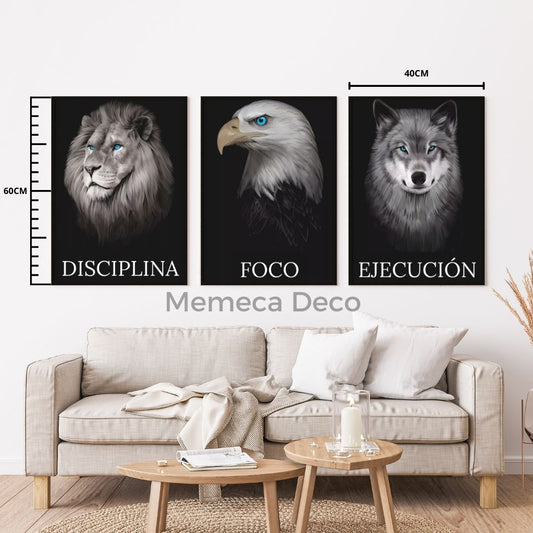 Disciplina Foco Ejecución