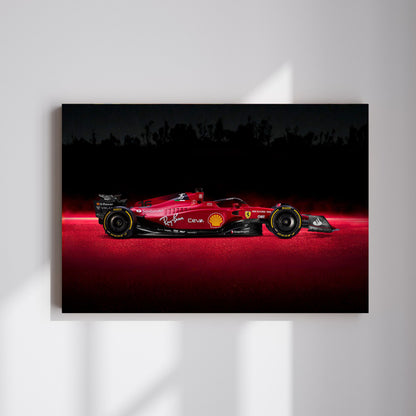 Formula 1 #19