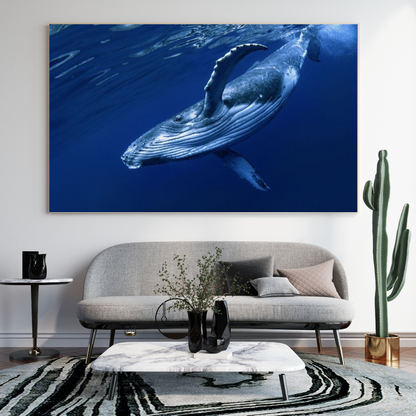 Ballena